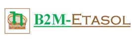 logo B2M ETASOL