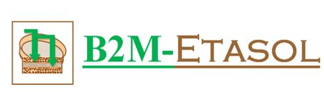 B2M ETASOL-logo